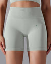 DJP Mint Burn-out Shorts (Jumbo Pack)